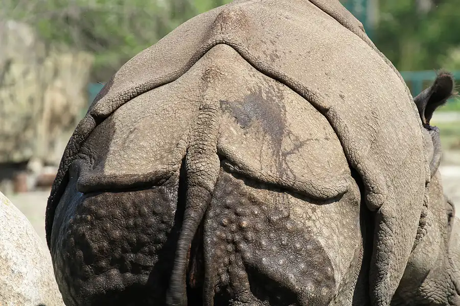 053 | 2011 | Berlin | Tierpark Friedrichsfelde | © carsten riede fotografie
