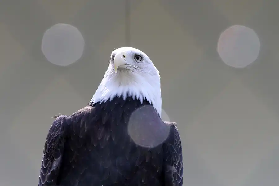 067 | 2011 | Berlin | Tierpark Friedrichsfelde | © carsten riede fotografie