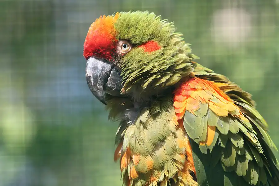 073 | 2011 | Berlin | Tierpark Friedrichsfelde | © carsten riede fotografie