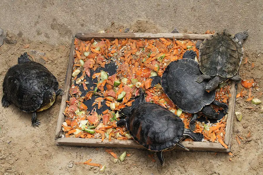 082 | 2011 | Berlin | Tierpark Friedrichsfelde | © carsten riede fotografie