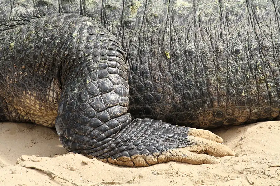 087 | 2011 | Berlin | Tierpark Friedrichsfelde | © carsten riede fotografie