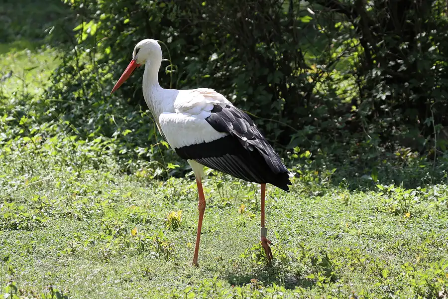 109 | 2011 | Berlin | Tierpark Friedrichsfelde | © carsten riede fotografie