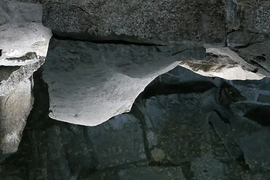 131 | 2011 | Berlin | Tierpark Friedrichsfelde | © carsten riede fotografie