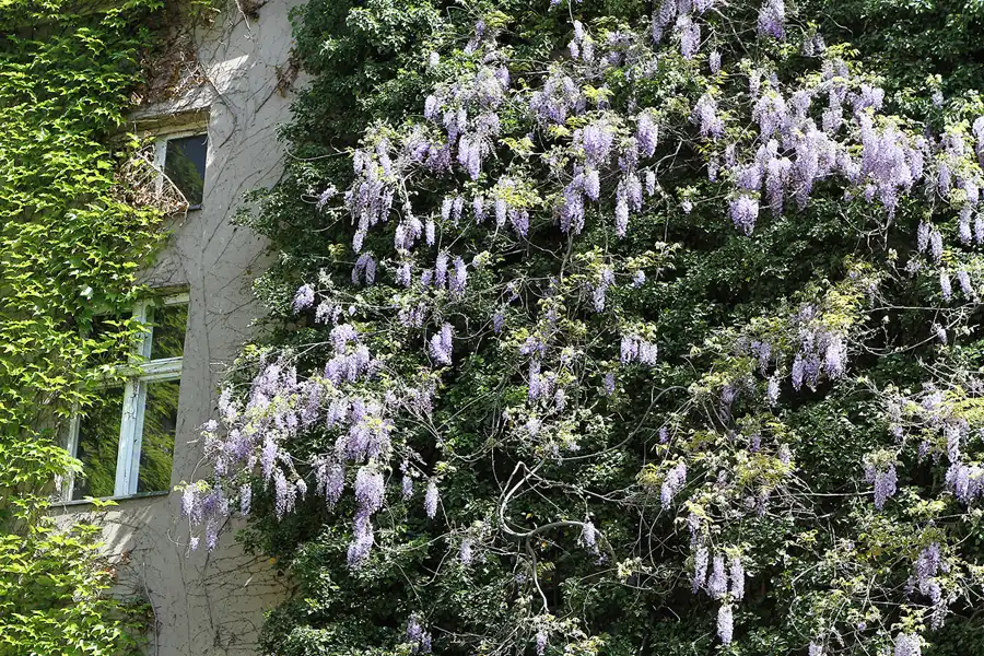 038 | 2011 | Berlin | Philipp-Gerlach-Gasse | © carsten riede fotografie