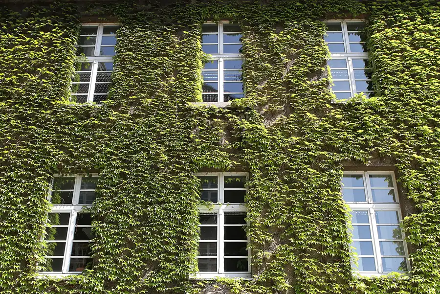 044 | 2011 | Berlin | Am Wall | © carsten riede fotografie