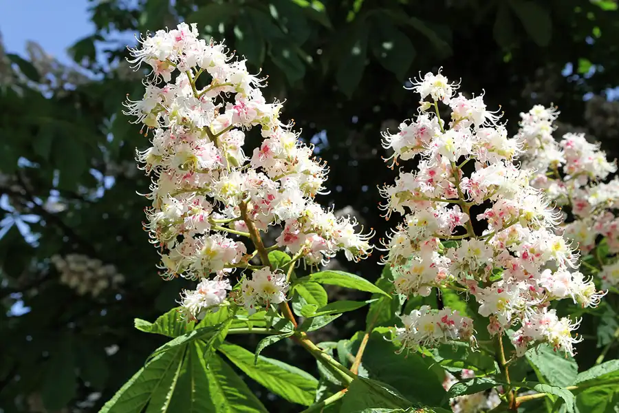 046 | 2011 | Berlin | Am Wall | © carsten riede fotografie
