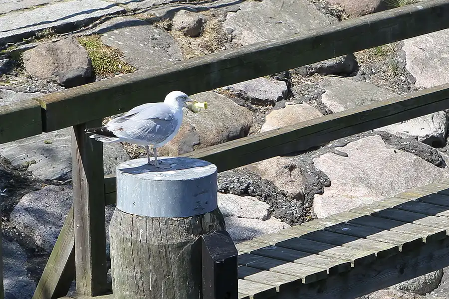 007 | 2011 | Rostock-Warnemünde | Am Strom | © carsten riede fotografie