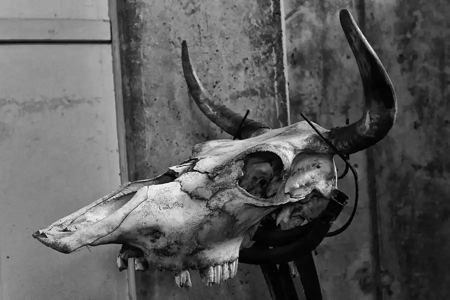 074 | 2011 | Brandenburg | Stahl- und Walzwerk Brandenburg – Industriemuseum | © carsten riede fotografie