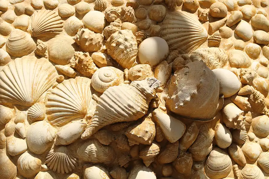 007 | 2011 | Brandenburg | Marienberg | © carsten riede fotografie