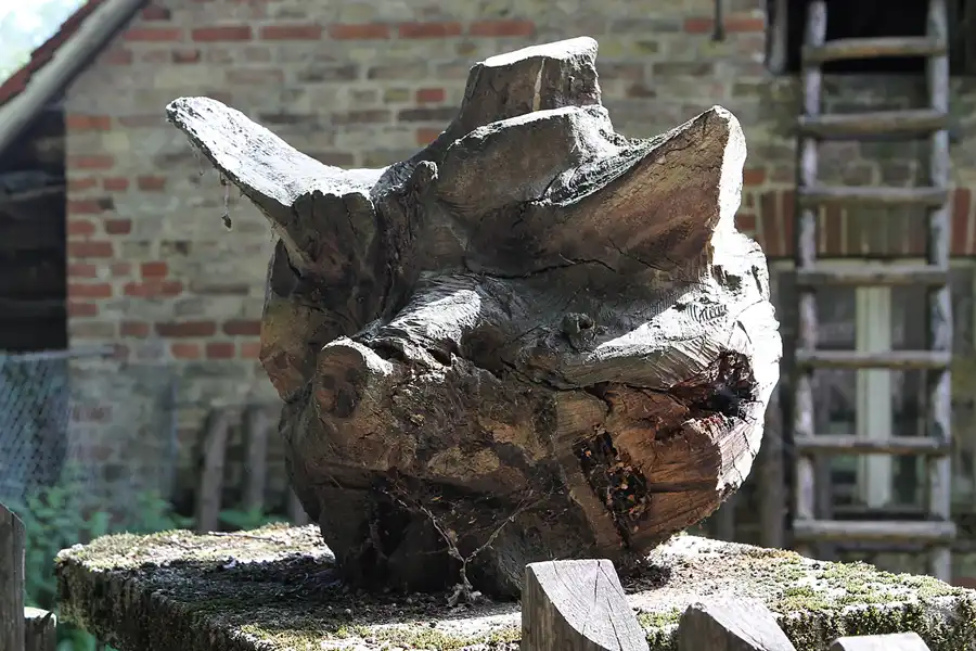 018 | 2011 | Berlin | Berliner Forst Grunewald | © carsten riede fotografie