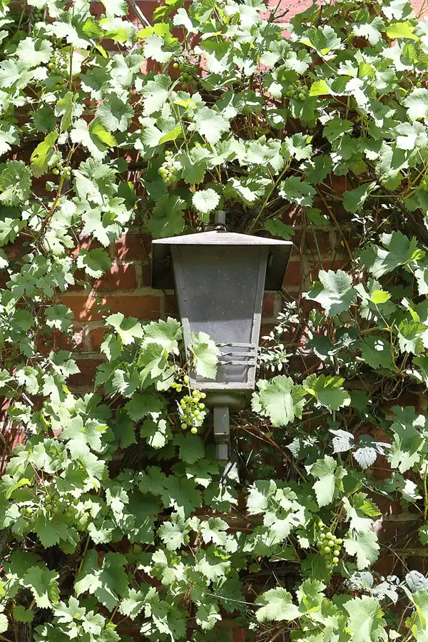 023 | 2011 | Berlin | Ökowerk am Teufelssee | © carsten riede fotografie