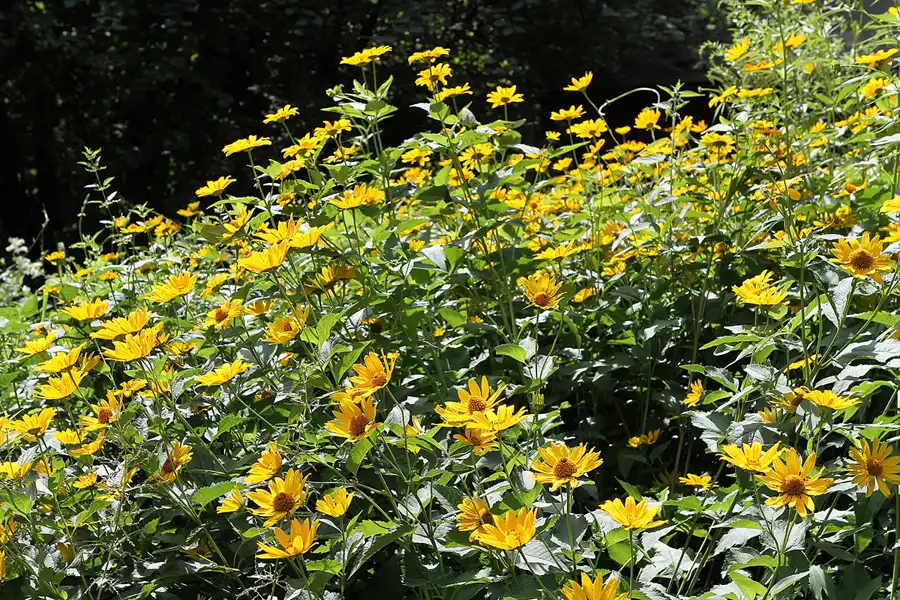 036 | 2011 | Berlin | Ökowerk am Teufelssee | © carsten riede fotografie