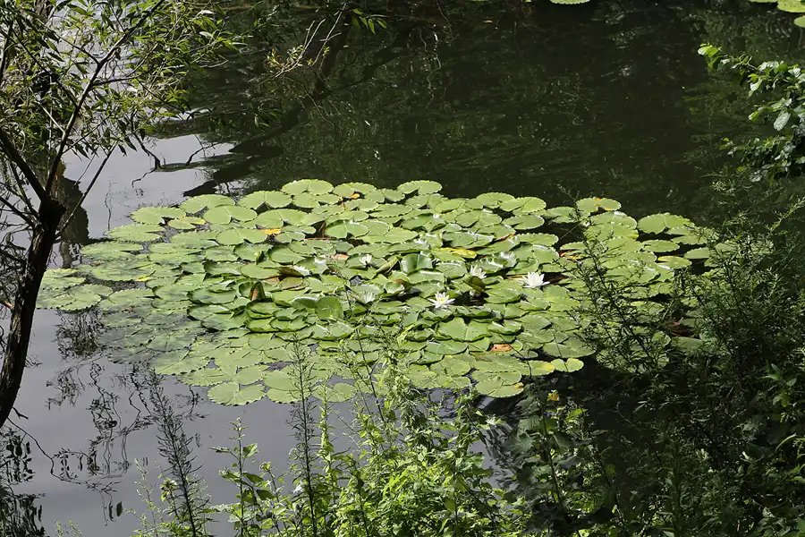 037 | 2011 | Berlin | Ökowerk am Teufelssee | © carsten riede fotografie