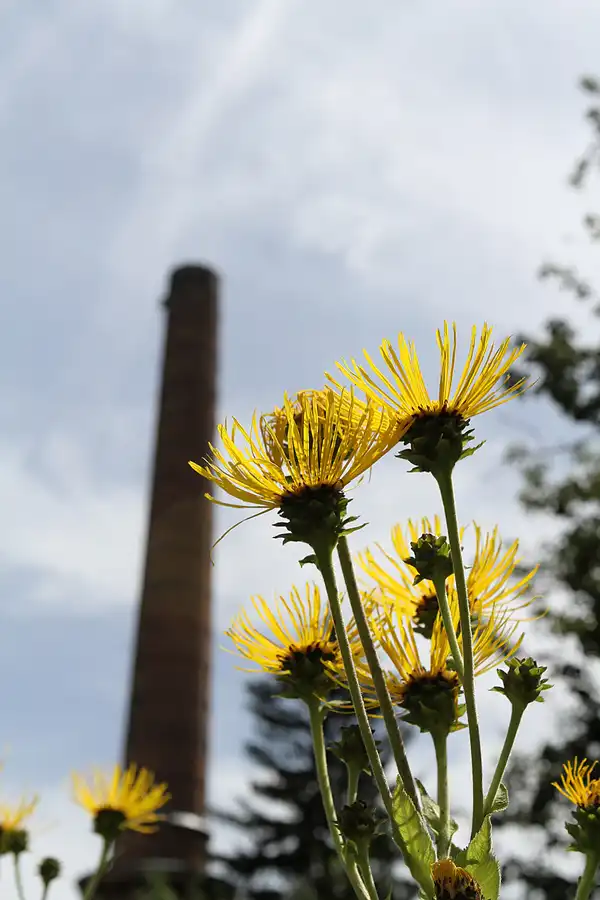 038 | 2011 | Berlin | Ökowerk am Teufelssee | © carsten riede fotografie
