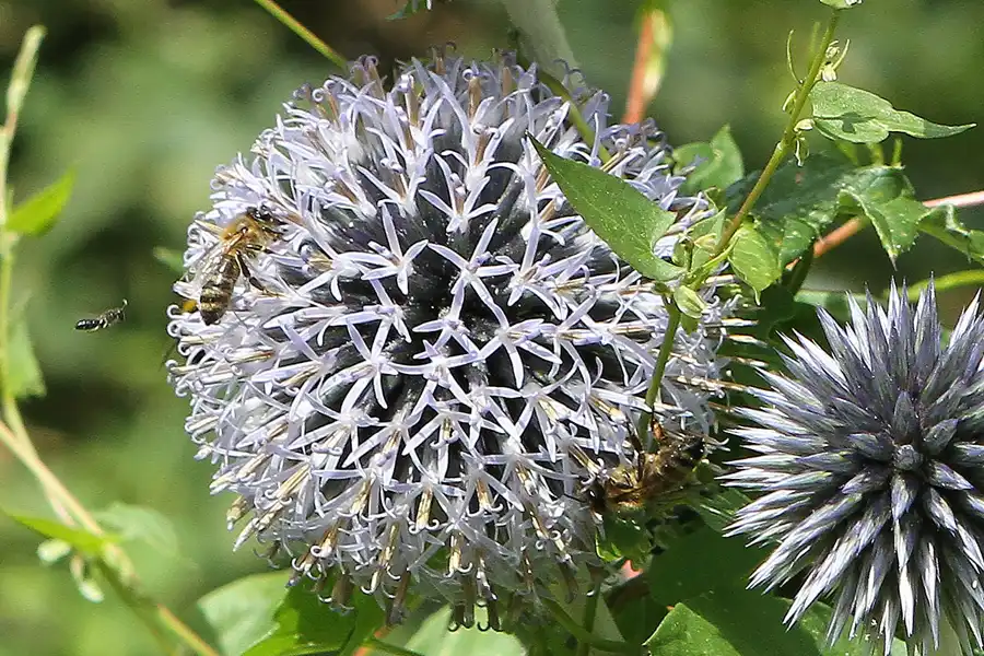 040 | 2011 | Berlin | Ökowerk am Teufelssee | © carsten riede fotografie
