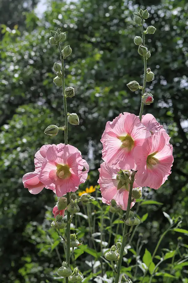 041 | 2011 | Berlin | Ökowerk am Teufelssee | © carsten riede fotografie