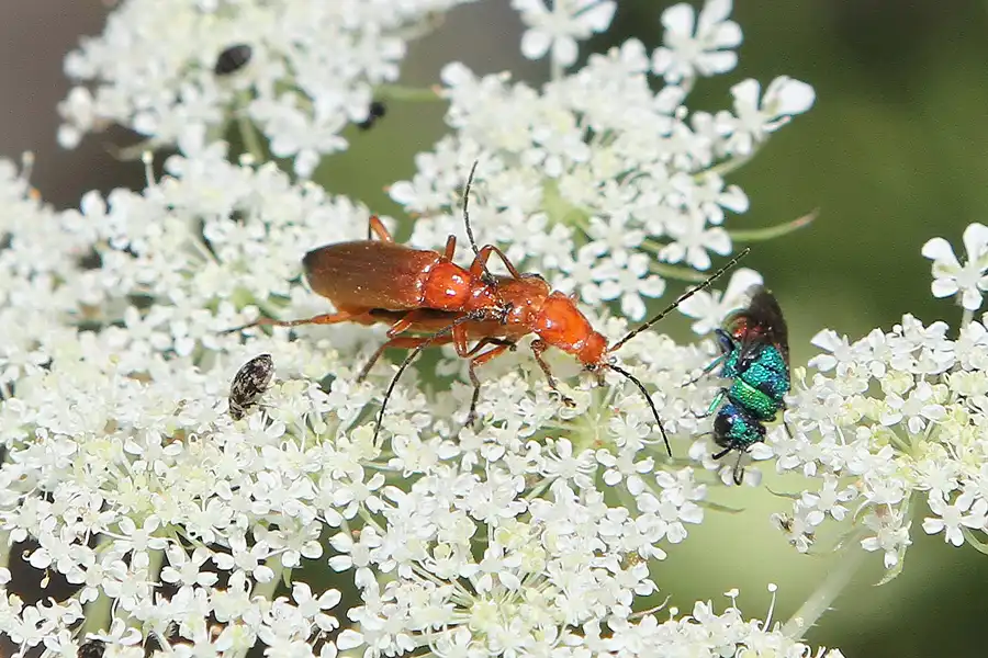 043 | 2011 | Berlin | Ökowerk am Teufelssee | © carsten riede fotografie