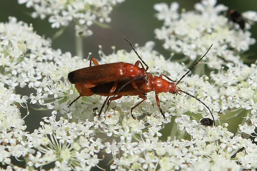 045 | 2011 | Berlin | Ökowerk am Teufelssee | © carsten riede fotografie