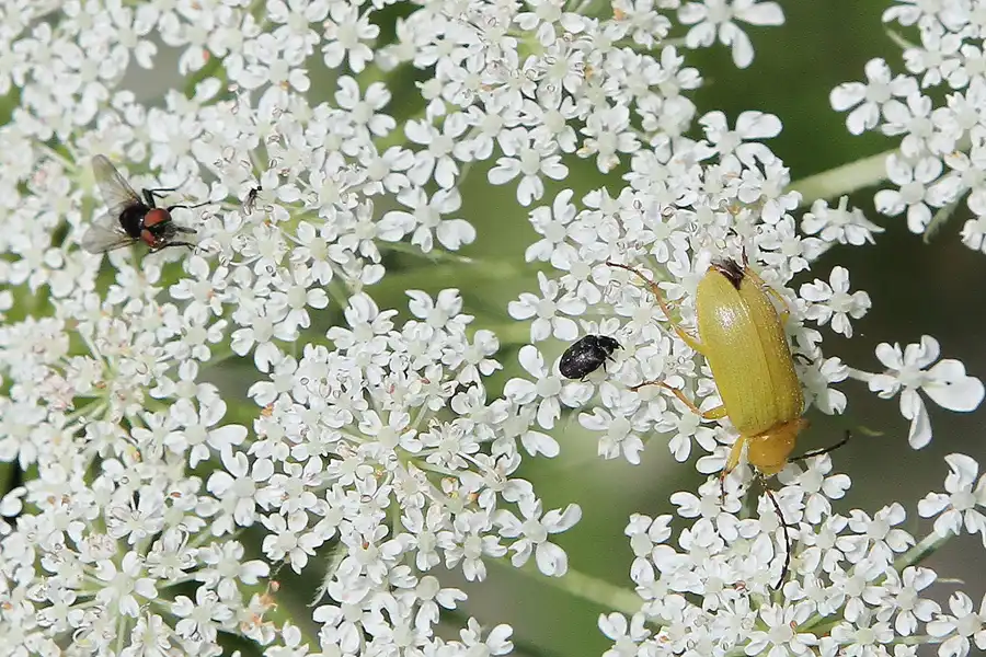 046 | 2011 | Berlin | Ökowerk am Teufelssee | © carsten riede fotografie