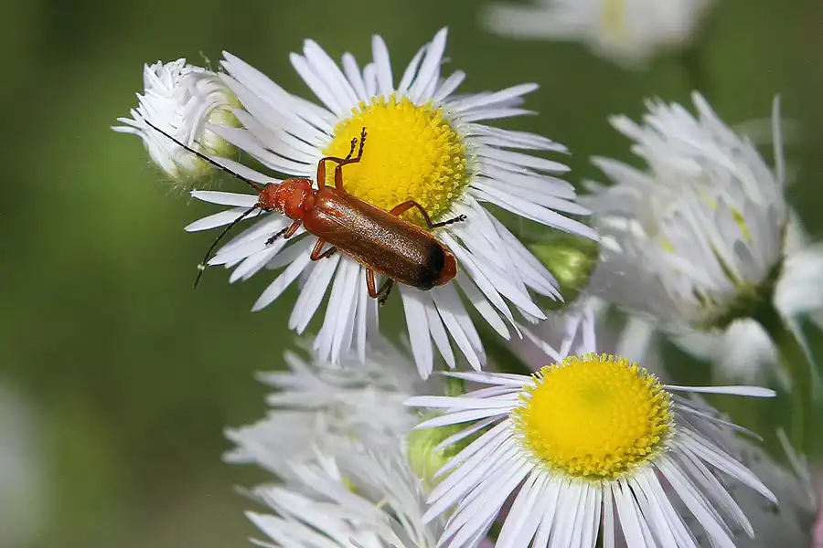 047 | 2011 | Berlin | Ökowerk am Teufelssee | © carsten riede fotografie