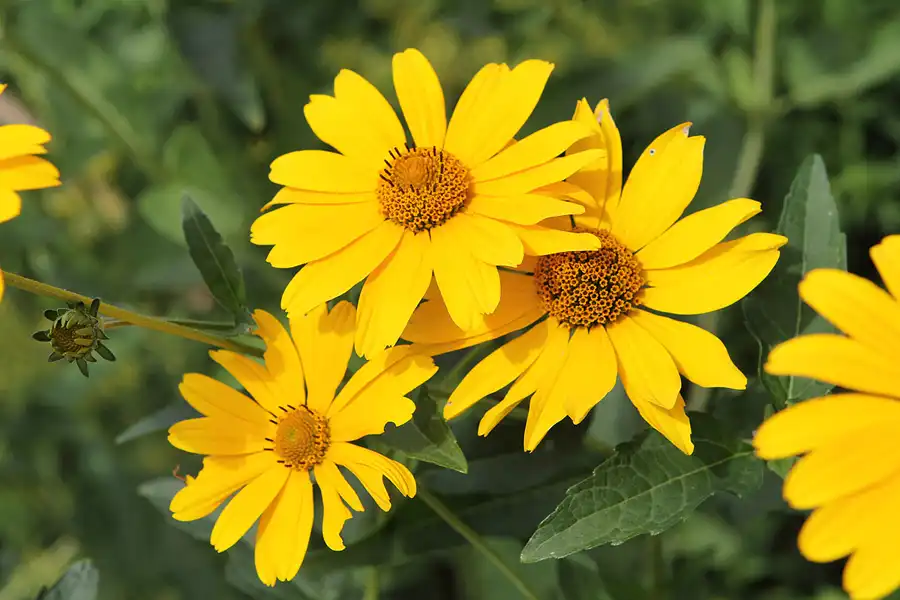 050 | 2011 | Berlin | Ökowerk am Teufelssee | © carsten riede fotografie