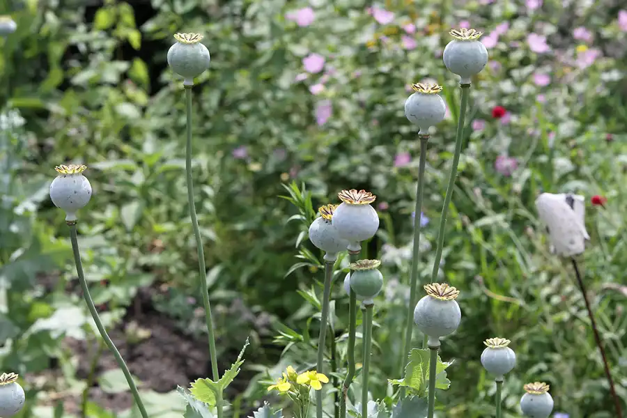 051 | 2011 | Berlin | Ökowerk am Teufelssee | © carsten riede fotografie