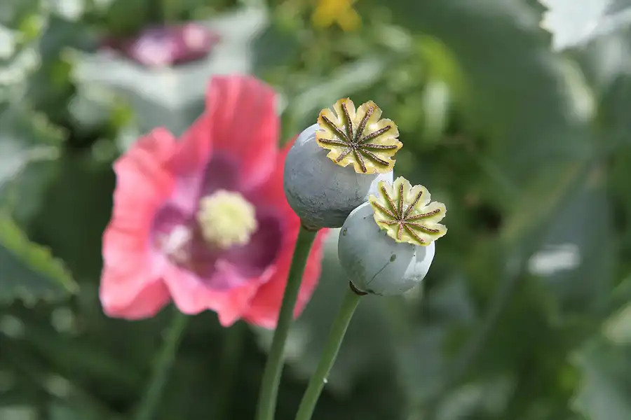 052 | 2011 | Berlin | Ökowerk am Teufelssee | © carsten riede fotografie