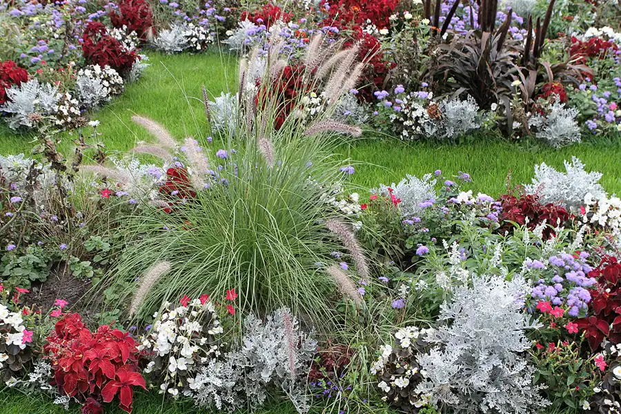 002 | 2011 | Berlin | Botanischer Garten | © carsten riede fotografie