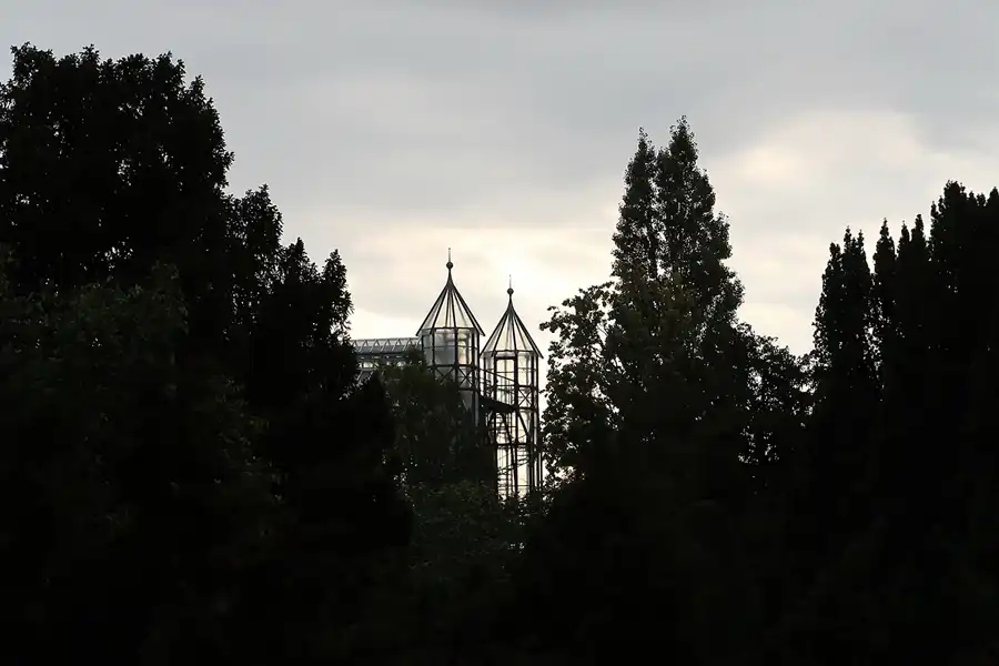 005 | 2011 | Berlin | Botanischer Garten | © carsten riede fotografie