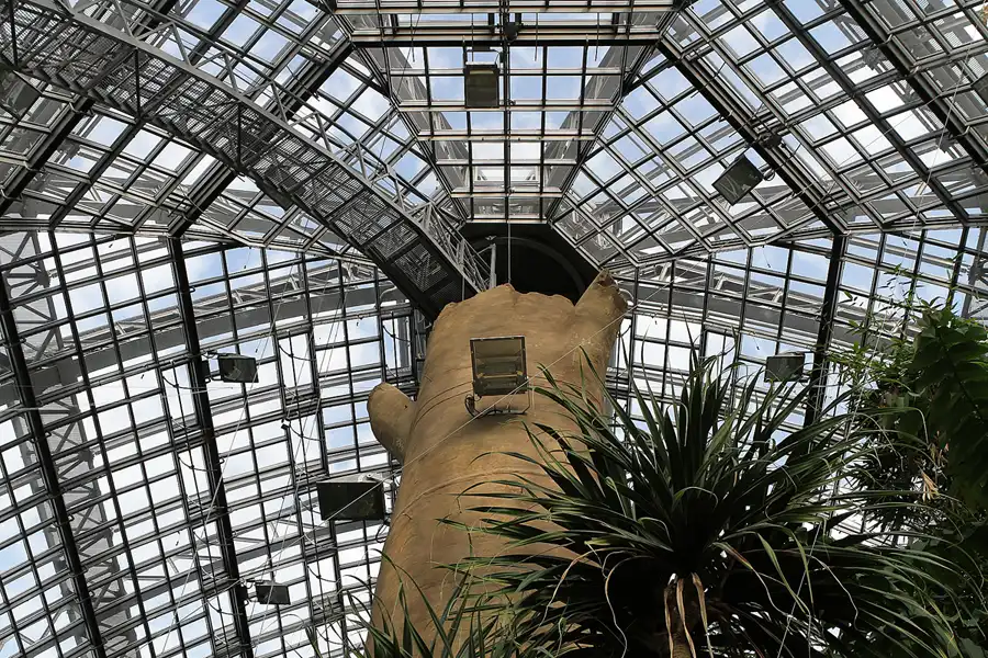 012 | 2011 | Berlin | Botanischer Garten | © carsten riede fotografie