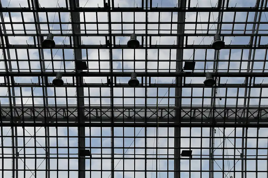 019 | 2011 | Berlin | Botanischer Garten | © carsten riede fotografie