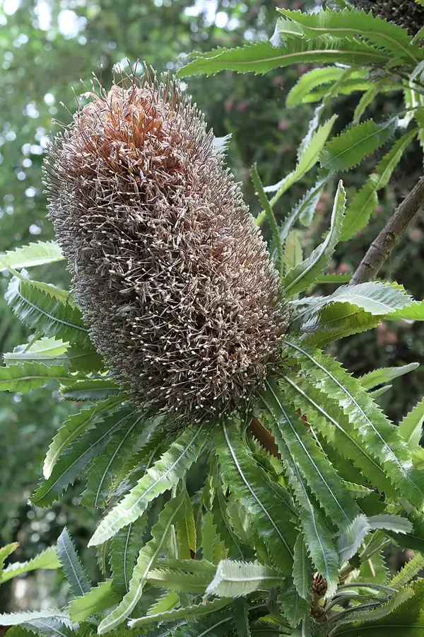 021 | 2011 | Berlin | Botanischer Garten | © carsten riede fotografie