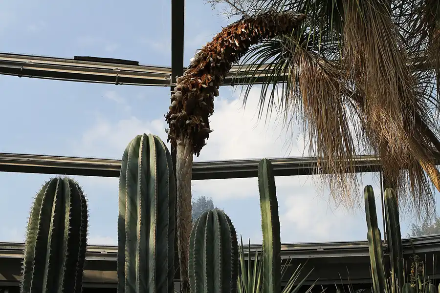 033 | 2011 | Berlin | Botanischer Garten | © carsten riede fotografie