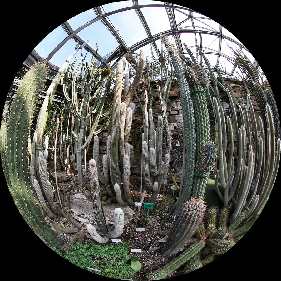 039 | 2011 | Berlin | Botanischer Garten | © carsten riede fotografie