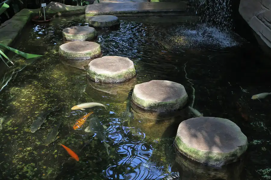 042 | 2011 | Berlin | Botanischer Garten | © carsten riede fotografie