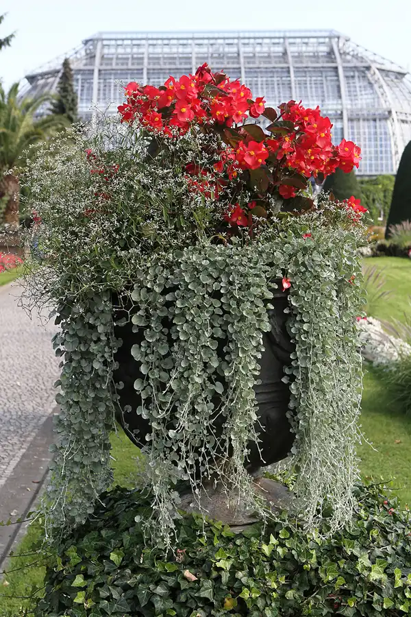 055 | 2011 | Berlin | Botanischer Garten | © carsten riede fotografie