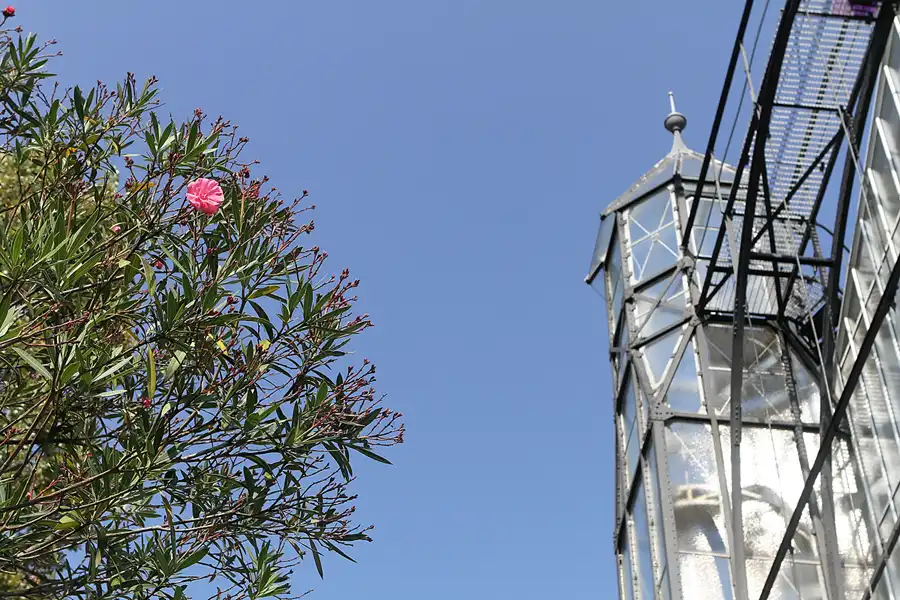 058 | 2011 | Berlin | Botanischer Garten | © carsten riede fotografie