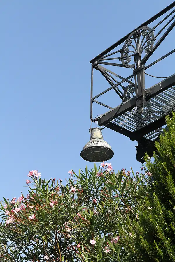 059 | 2011 | Berlin | Botanischer Garten | © carsten riede fotografie