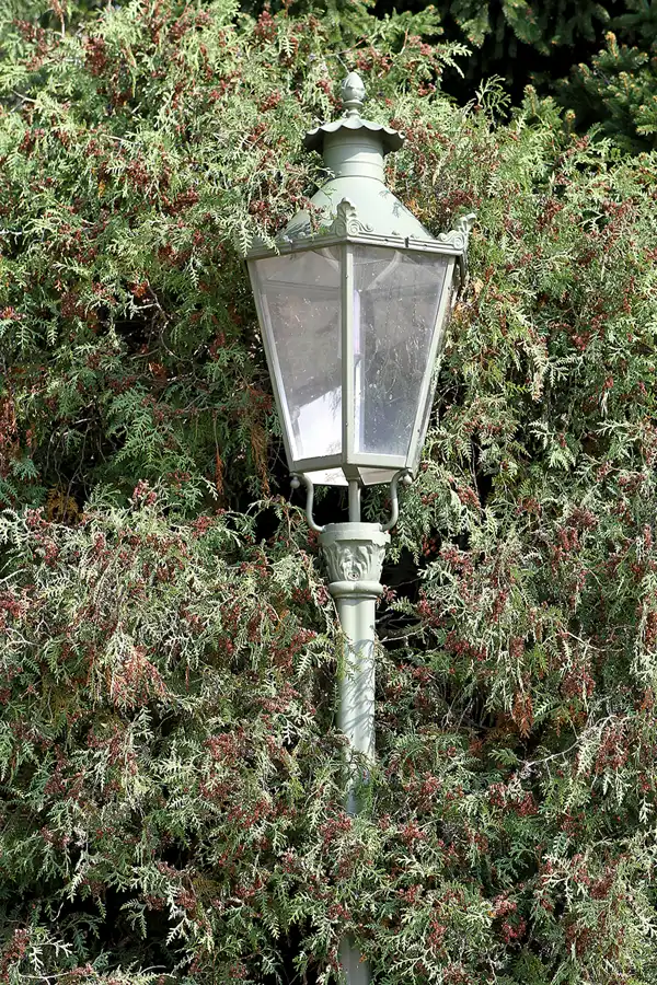 061 | 2011 | Berlin | Botanischer Garten | © carsten riede fotografie