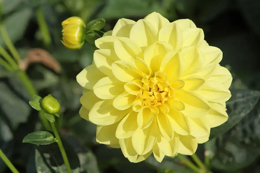 066 | 2011 | Berlin | Botanischer Garten | © carsten riede fotografie