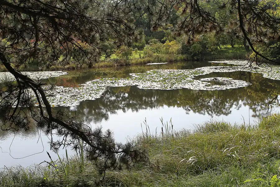 070 | 2011 | Berlin | Botanischer Garten | © carsten riede fotografie