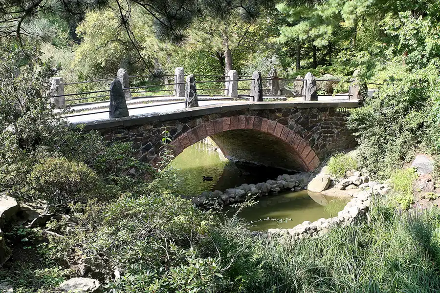 071 | 2011 | Berlin | Botanischer Garten | © carsten riede fotografie