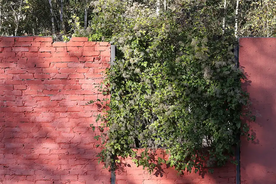 006 | 2011 | Berlin | Natur-Park Schöneberger Südgelände – ehemaliger Rangierbahnhof Tempelhof | © carsten riede fotografie