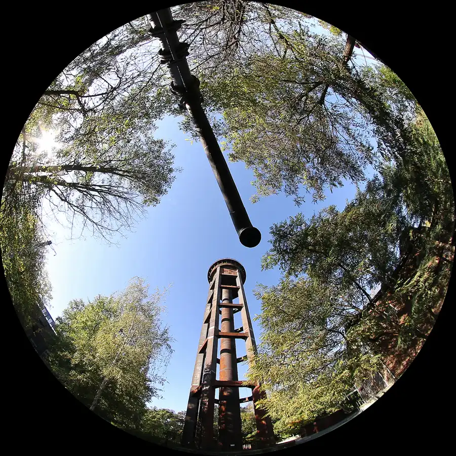 011 | 2011 | Berlin | Natur-Park Schöneberger Südgelände – ehemaliger Rangierbahnhof Tempelhof | © carsten riede fotografie