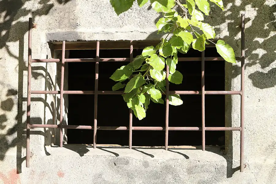 015 | 2011 | Berlin | Natur-Park Schöneberger Südgelände – ehemaliger Rangierbahnhof Tempelhof | © carsten riede fotografie