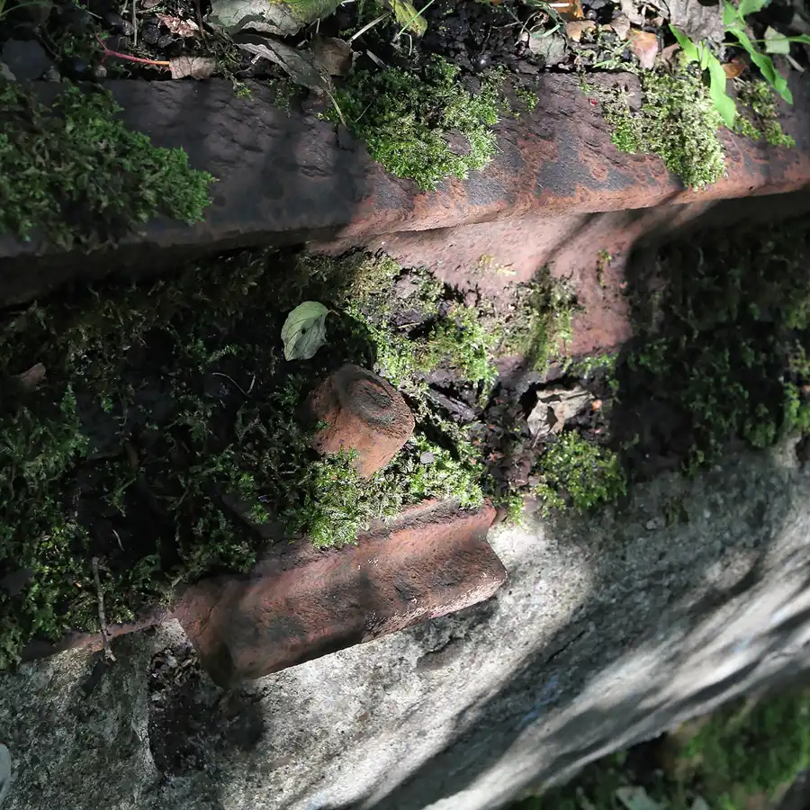 016 | 2011 | Berlin | Natur-Park Schöneberger Südgelände – ehemaliger Rangierbahnhof Tempelhof | © carsten riede fotografie