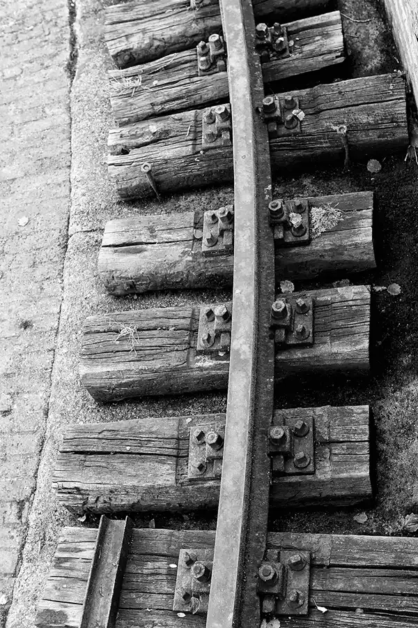 019 | 2011 | Berlin | Natur-Park Schöneberger Südgelände – ehemaliger Rangierbahnhof Tempelhof | © carsten riede fotografie
