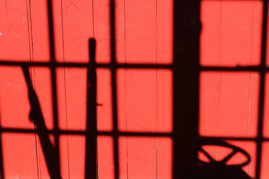 021 | 2011 | Berlin | Natur-Park Schöneberger Südgelände – ehemaliger Rangierbahnhof Tempelhof | © carsten riede fotografie