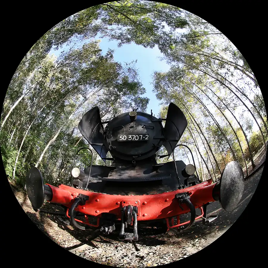 022 | 2011 | Berlin | Natur-Park Schöneberger Südgelände – ehemaliger Rangierbahnhof Tempelhof | © carsten riede fotografie