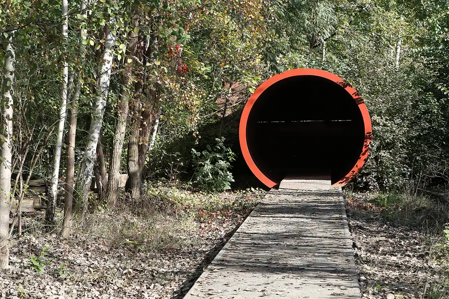 026 | 2011 | Berlin | Natur-Park Schöneberger Südgelände – ehemaliger Rangierbahnhof Tempelhof | © carsten riede fotografie